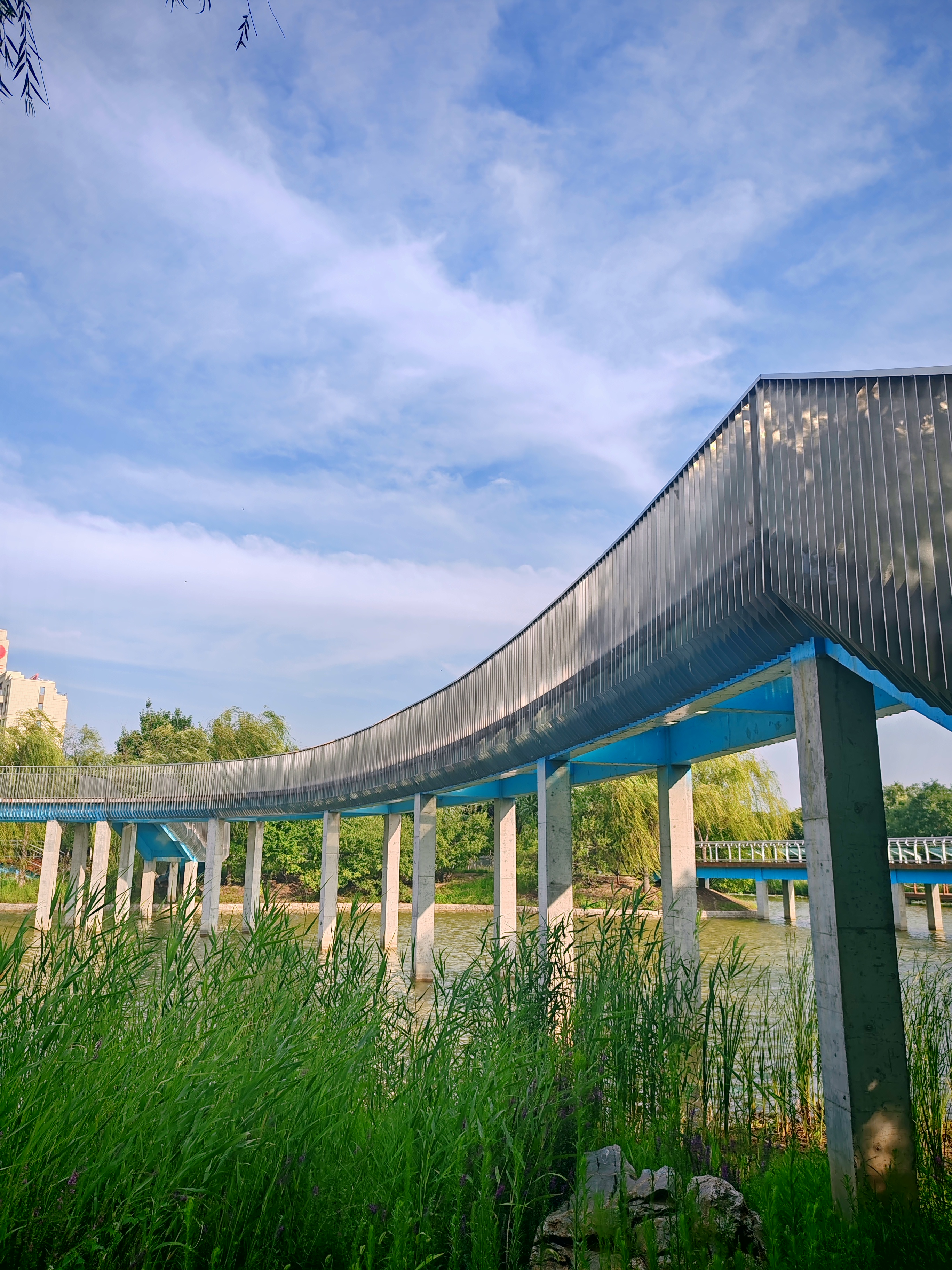 这种"纯生活",不为外物所扰,上海西岸自然艺术公园图片