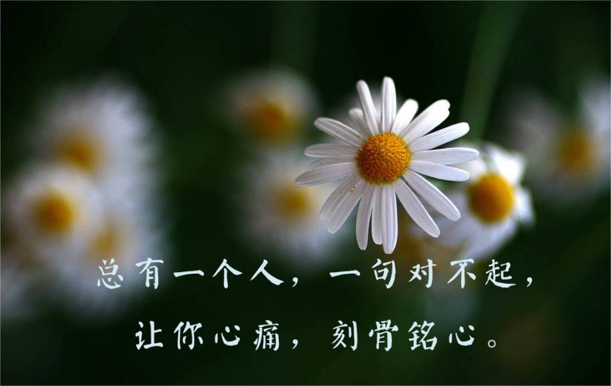 1,当你认为自己一无所有时,你至少还有时间,时间能抚平一切创伤,所以