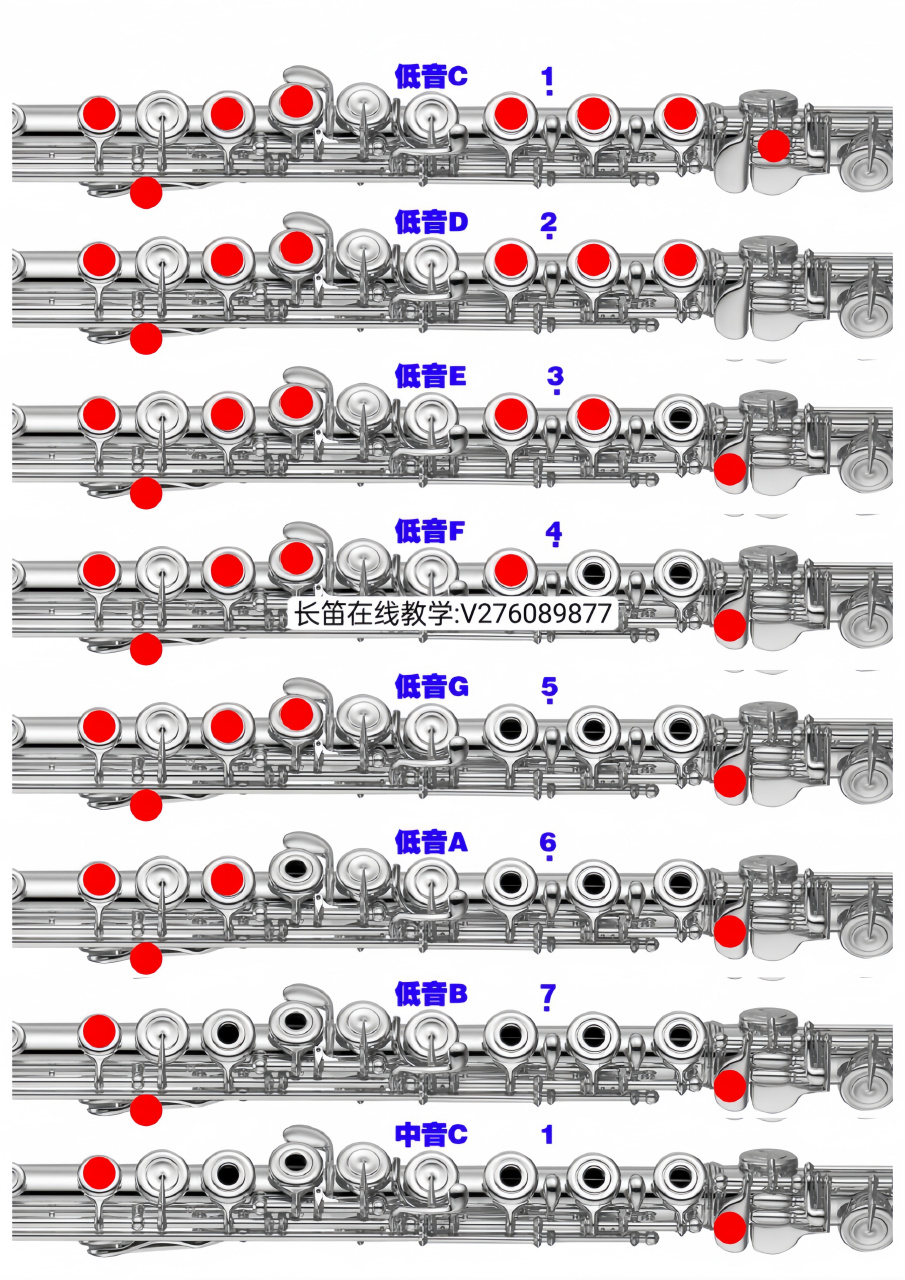 长笛c调完整指法表图图片