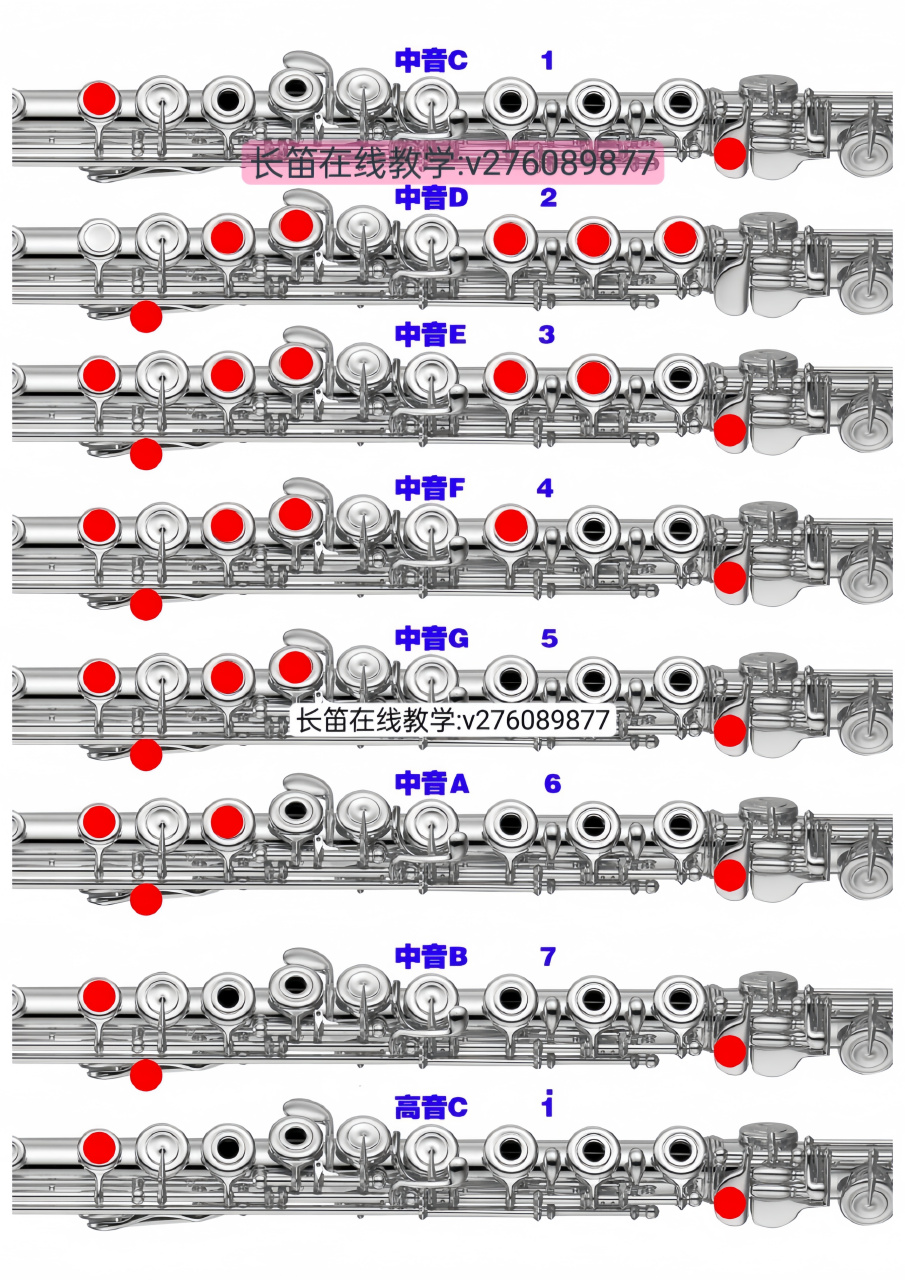 笛子c调指法表顺序表图片