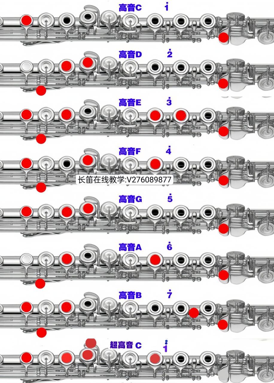 长笛升fa图片