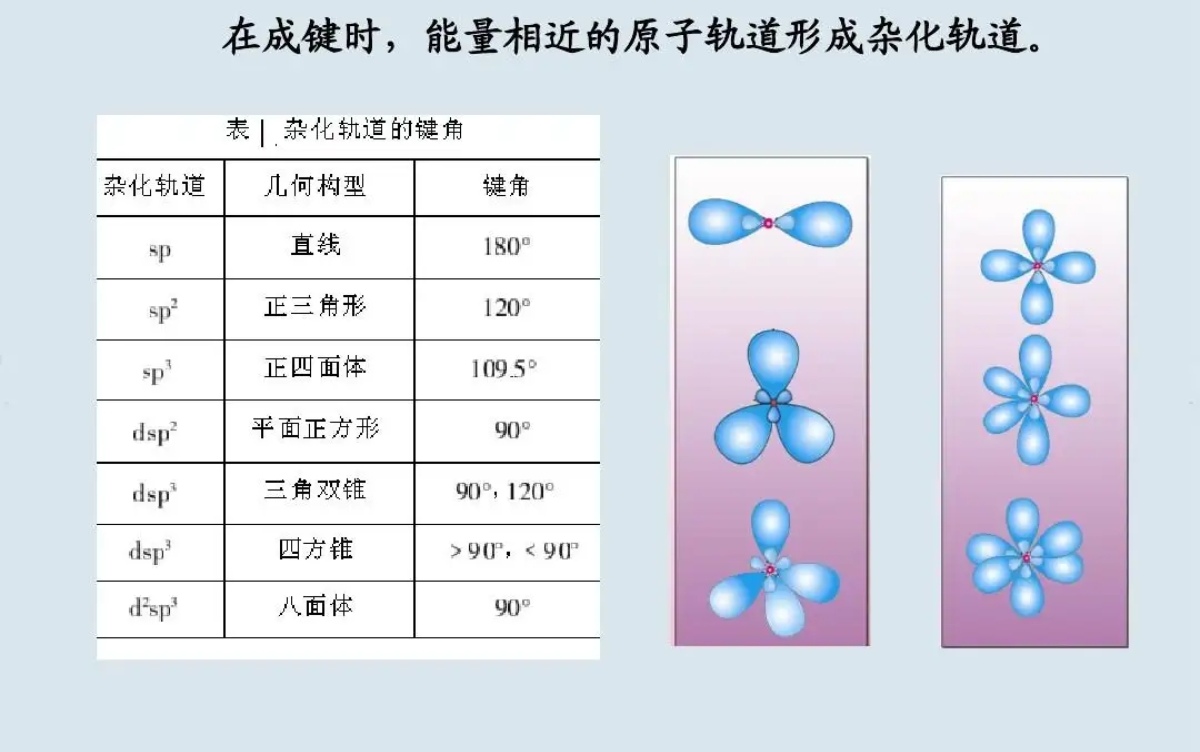 sp3杂化图解图片