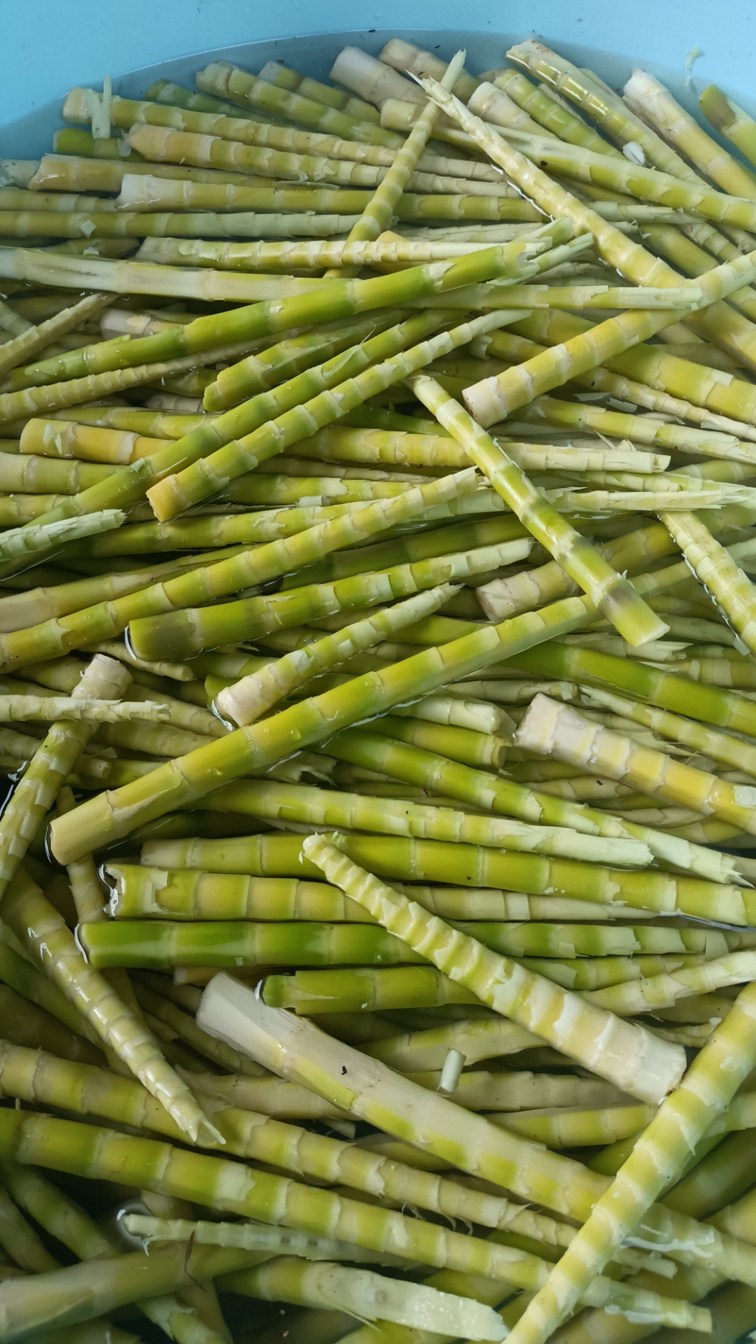 开车一百多公里就是为了吃这一点新鲜竹笋 真嫩啊,没有想吃的,你们