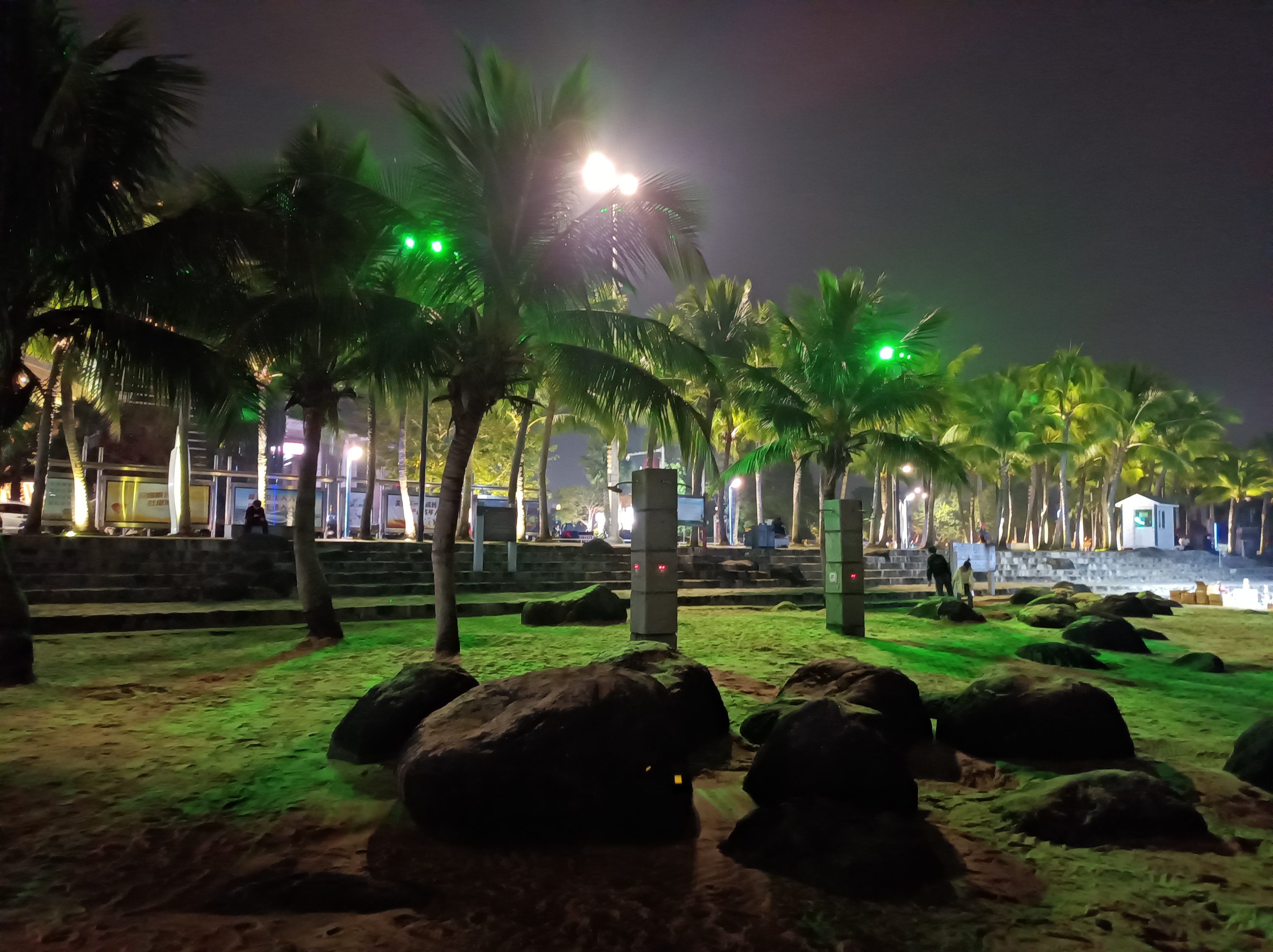 海边椰林夜色#百家帮扶计划