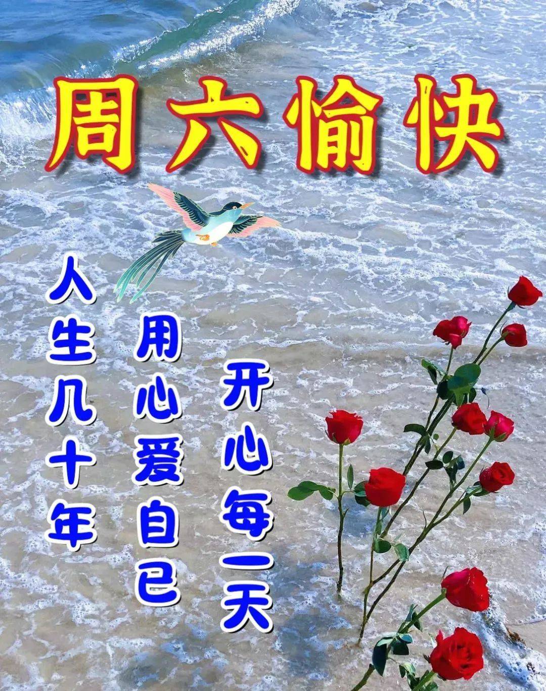 幽窗影的动态