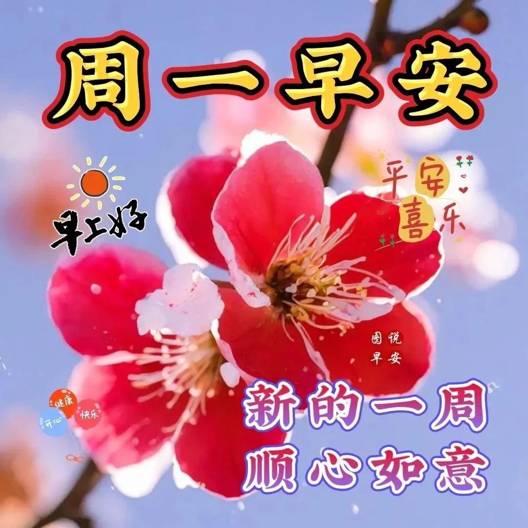 周一早上好!愿你心情愉悦,充实美好,开启一周精彩生活!