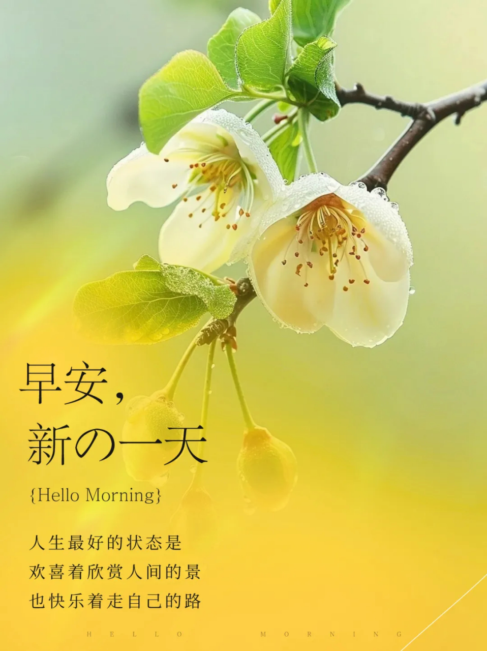 心态好万事皆美好 顺风顺水顺心情 上好风水自然来 #早安心