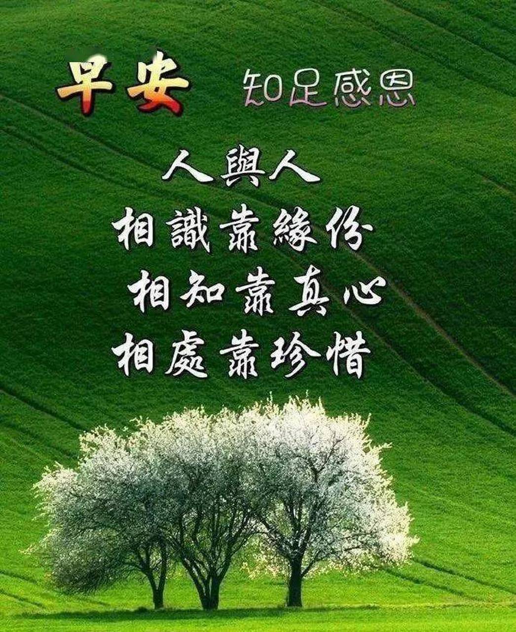 让人舒服的早安心语八字成语(简短早安心语)