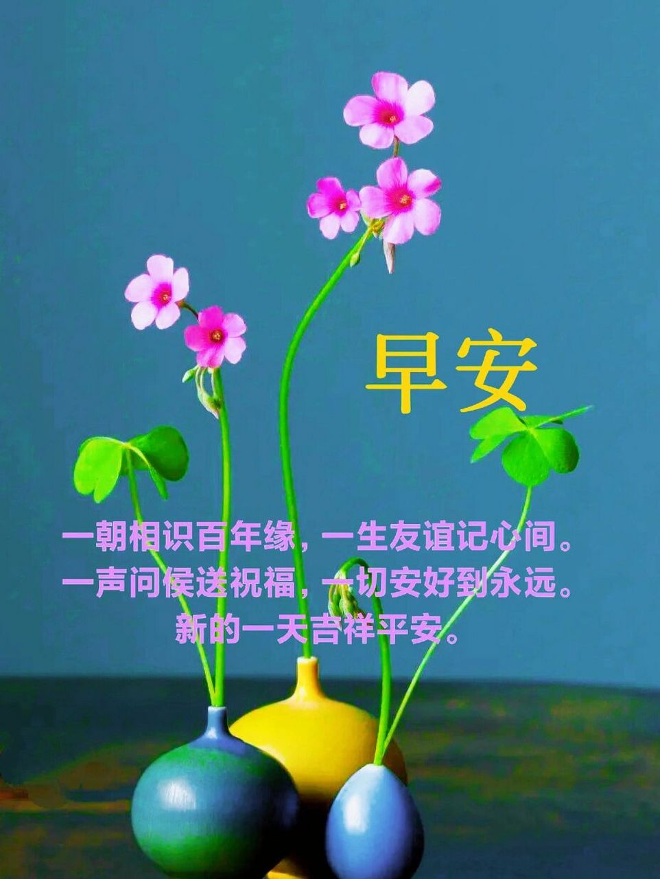 晨间约定,是温暖的召唤;每日的留言互动,是真情的流露;每日的问候关怀