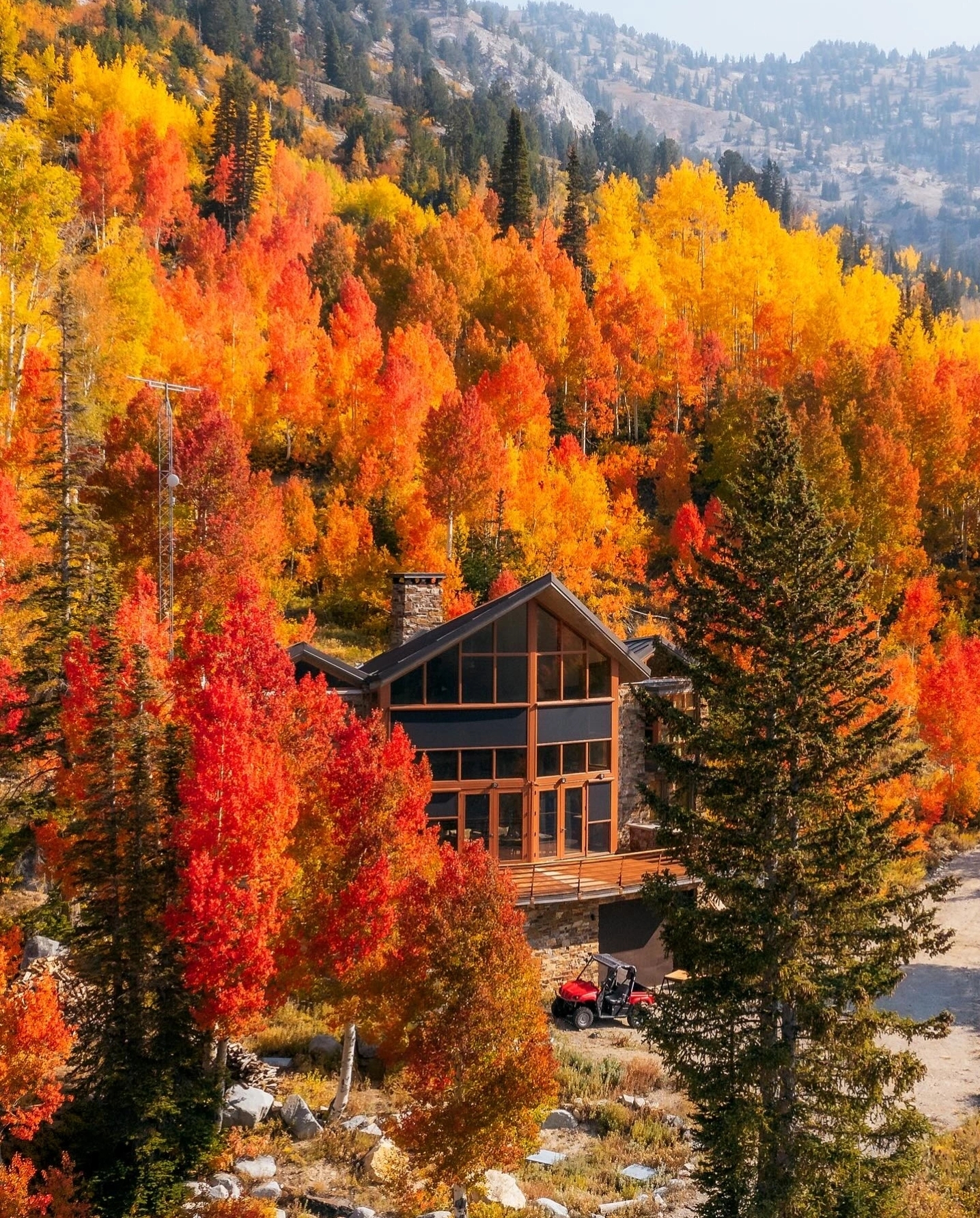 94年金秋时节,我来到了一片金黄色的树林.