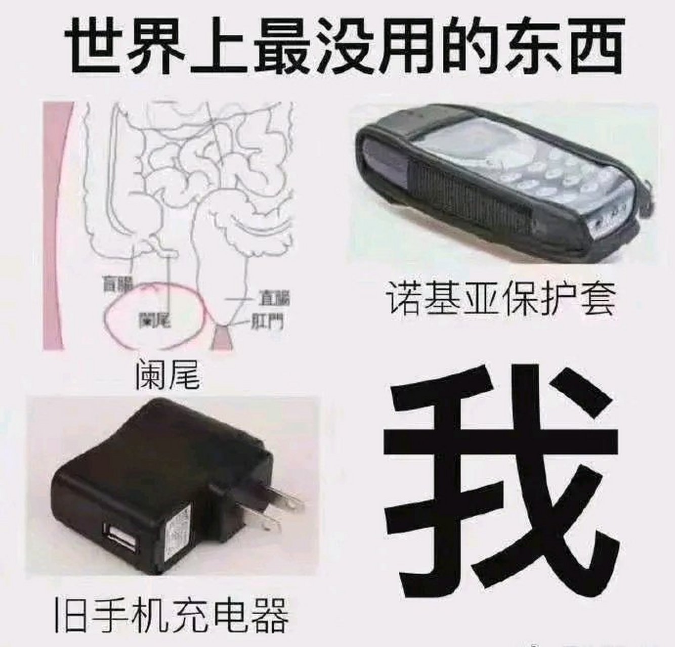 网友投稿:世界上最没用的东西.[三哈]#每日打卡
