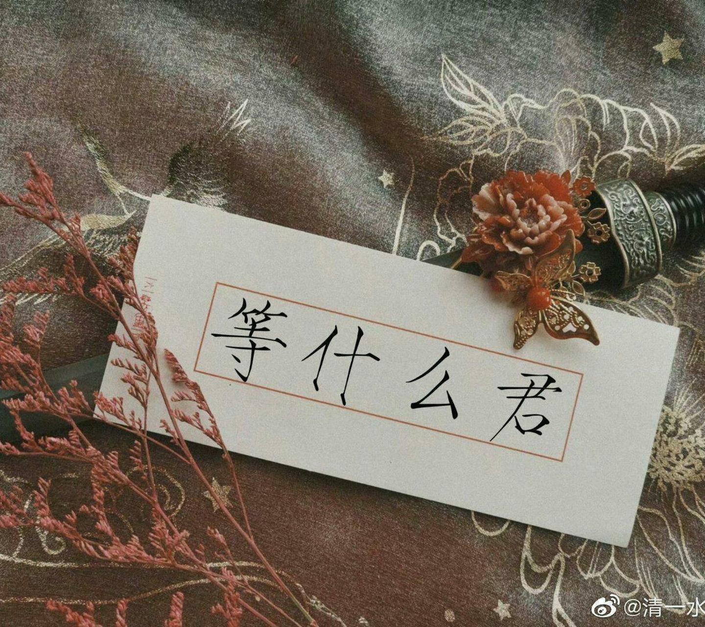 等什么君# 武当山顶,有一女子,女子红衣似蝶,坐于玉簟之上.