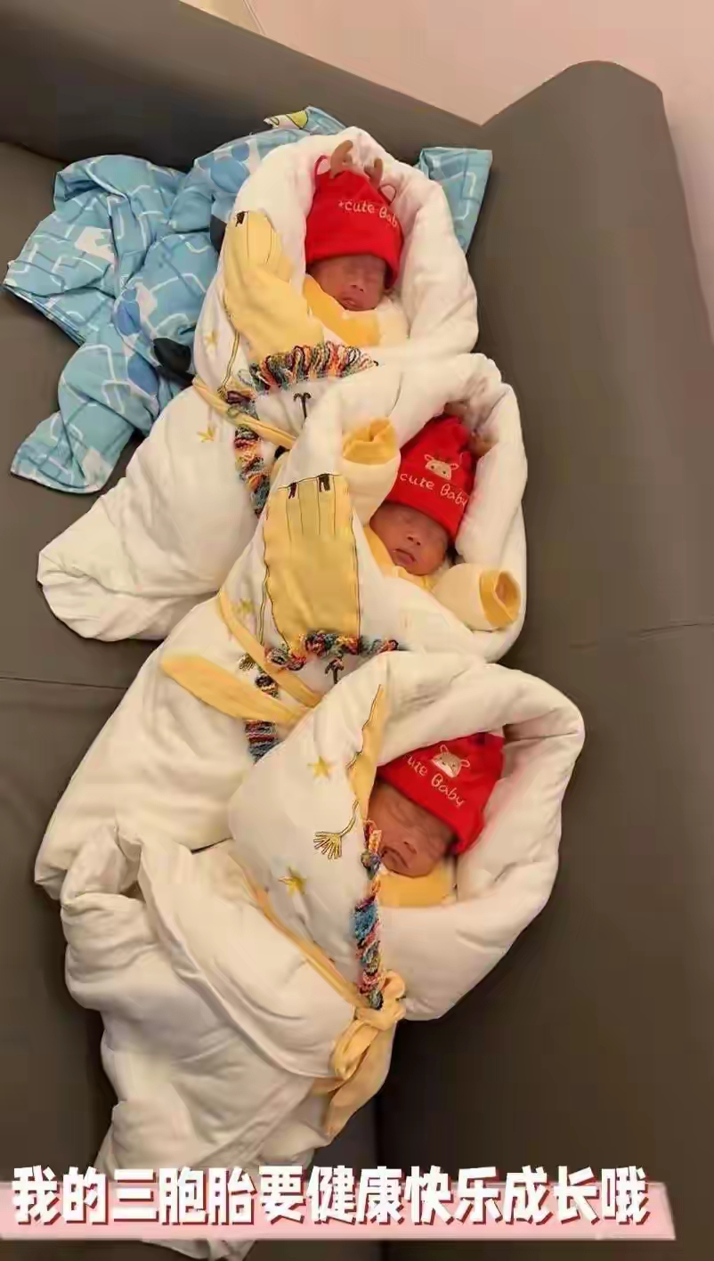 然而,孩子的爷爷早早放话:如果是三个孙子,奖励600万;两个孙子一个