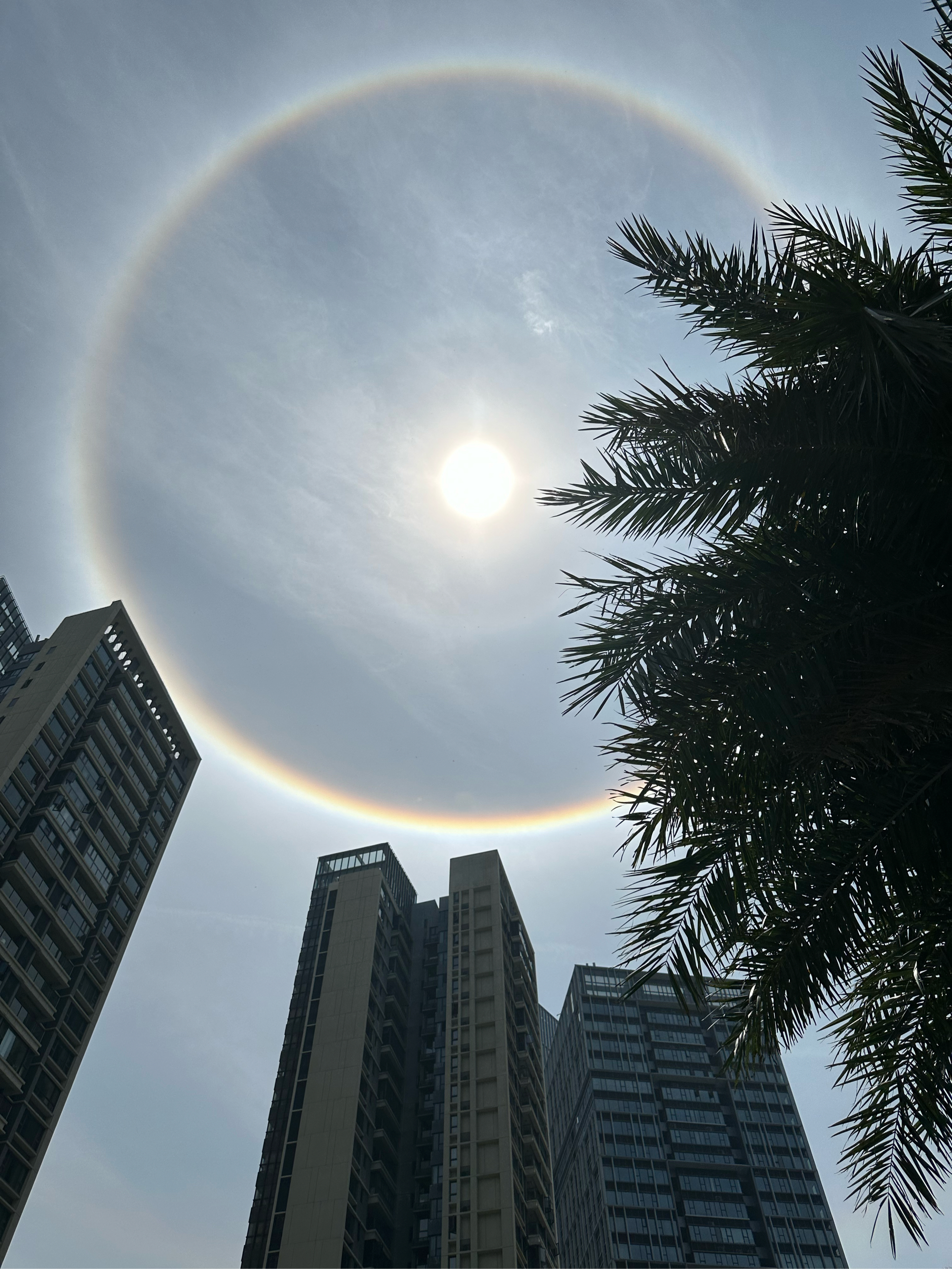 🌤️太阳光环下的城市秘境🏙️  🔭仰望天穹