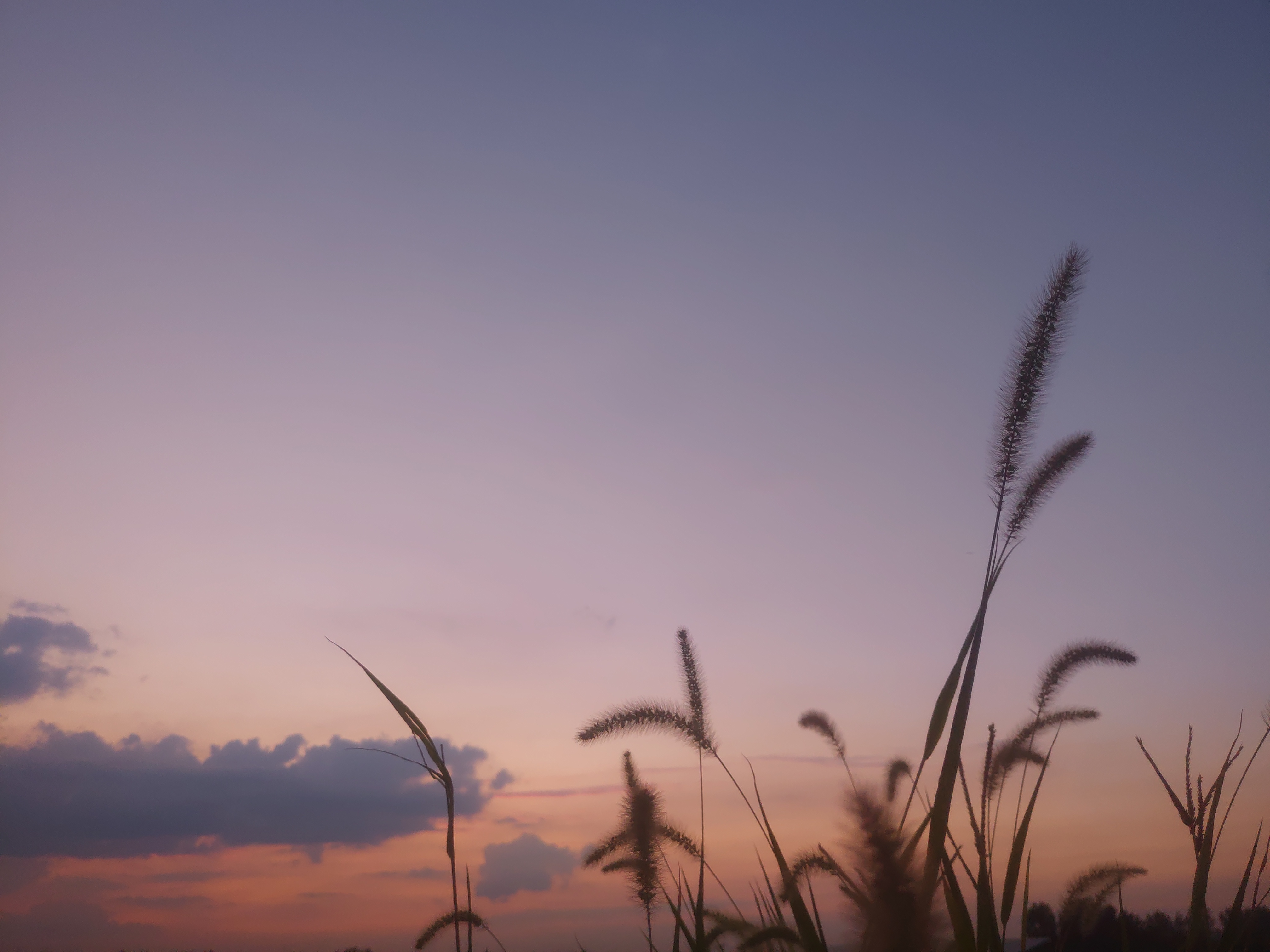 夕阳的余晖如同金色的纱幔,轻轻地覆盖着大地.