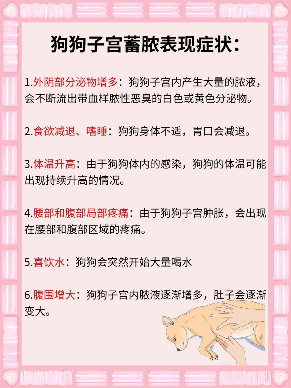 狗狗子宫蓄脓是一种常见的狗狗妇科疾病,多因细