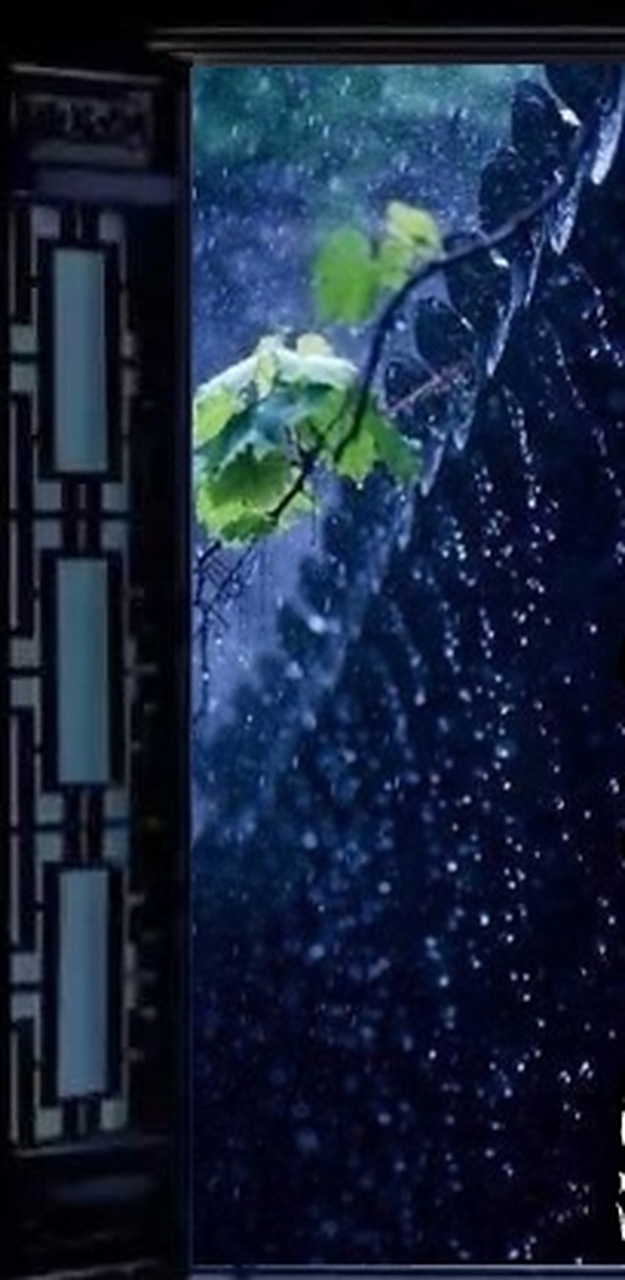 每日打卡#  西窗夜色雨潇潇, 曲巷蜿蜒自寂寥.