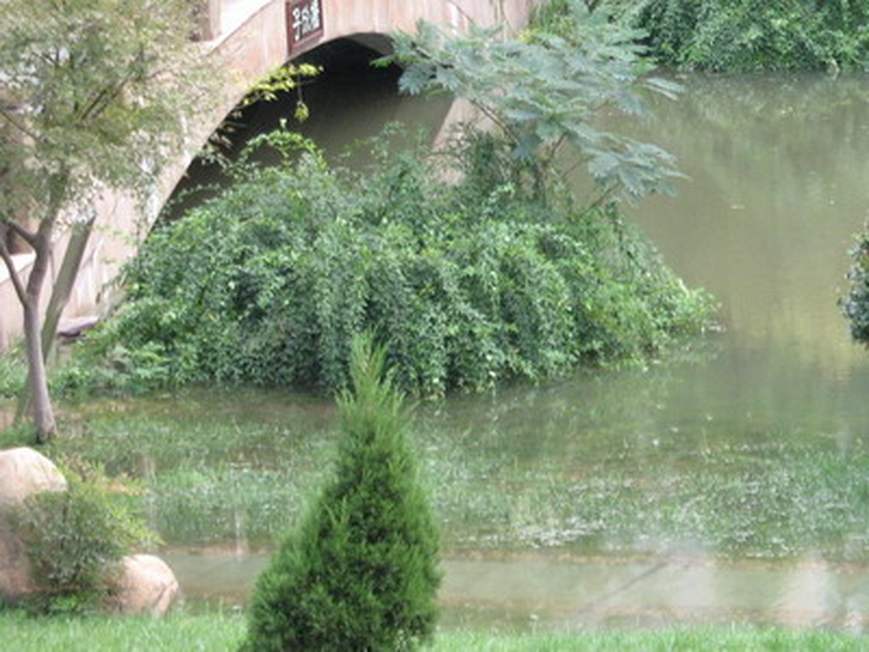 雾锁云峰如梦里, 泉声汩汩绕空亭.