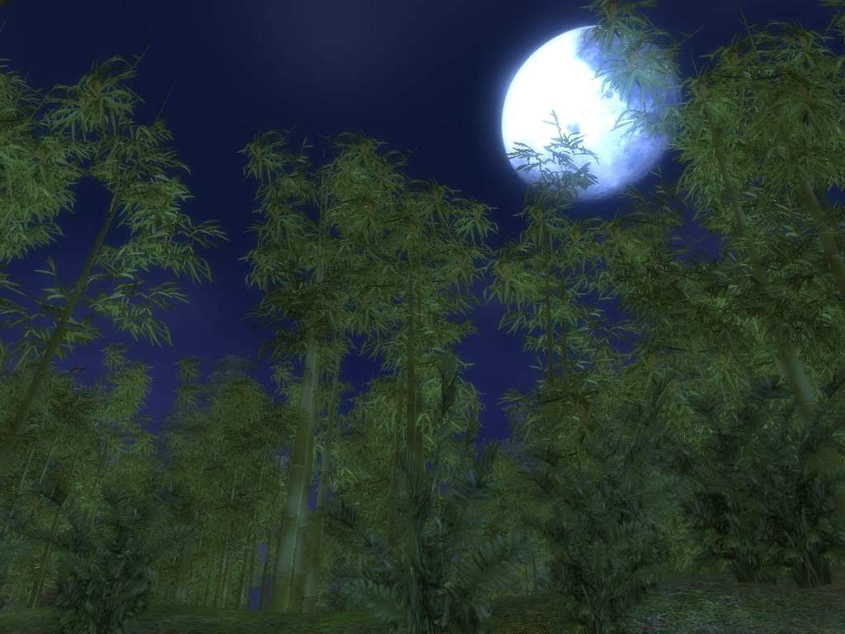 每日打卡#  月下清风漾竹林, 春归未有迹能寻.