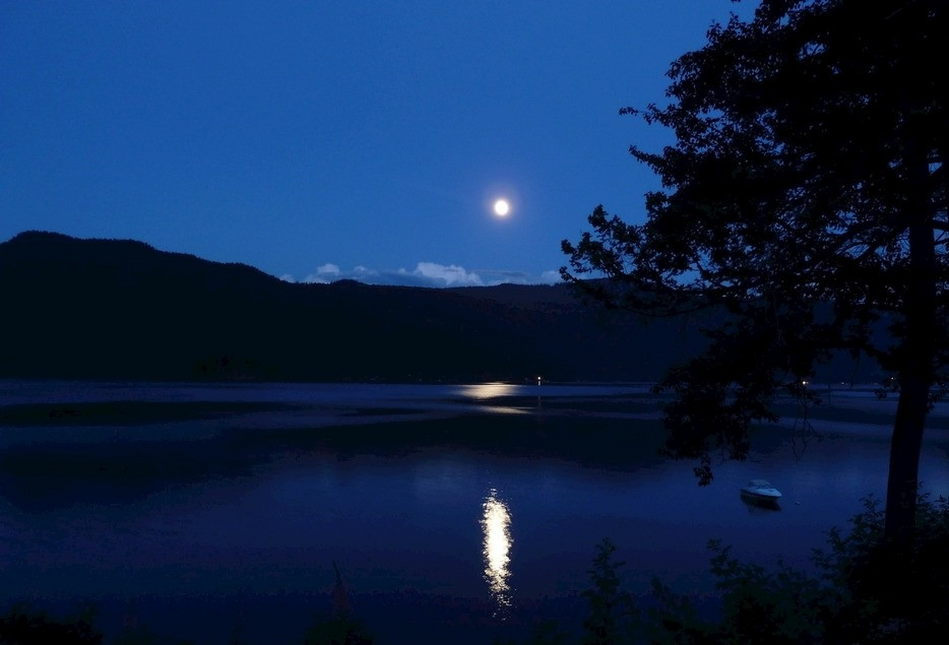 每日打卡#  山间明月正分明, 水面微风拂浪轻.