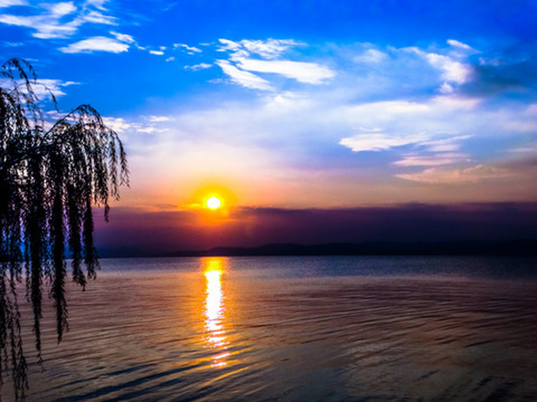 作者:青舟(每天读文史平台签约作者)