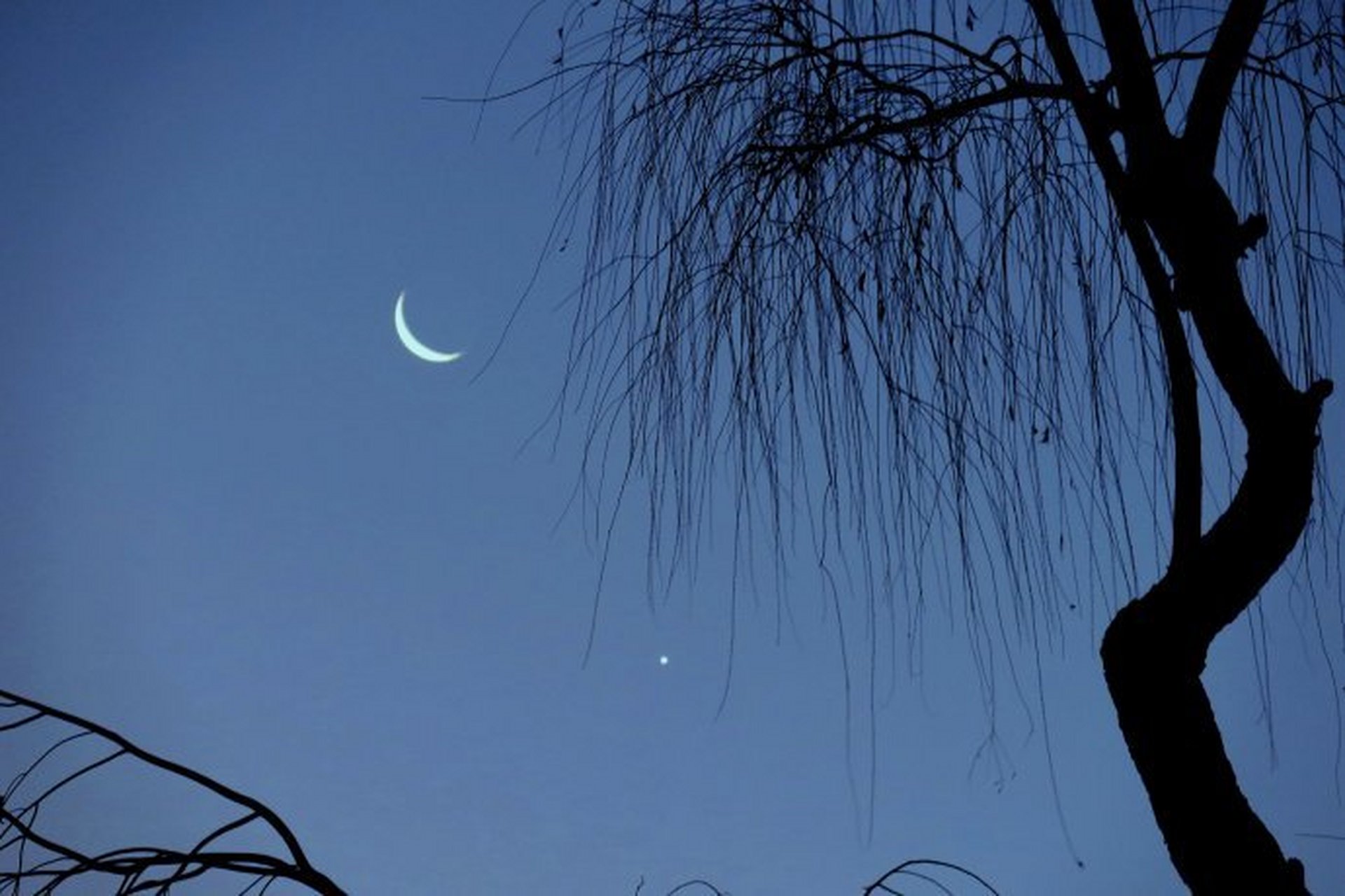 似弓残月挂西楼, 夜半清风抚水流