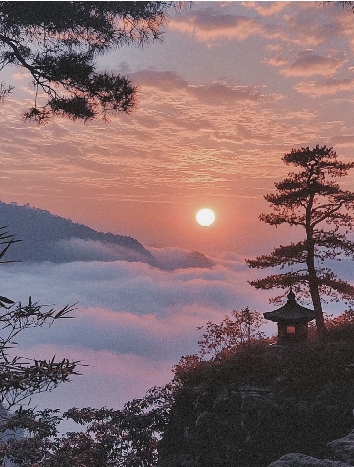 竹子风景图片 日出图片