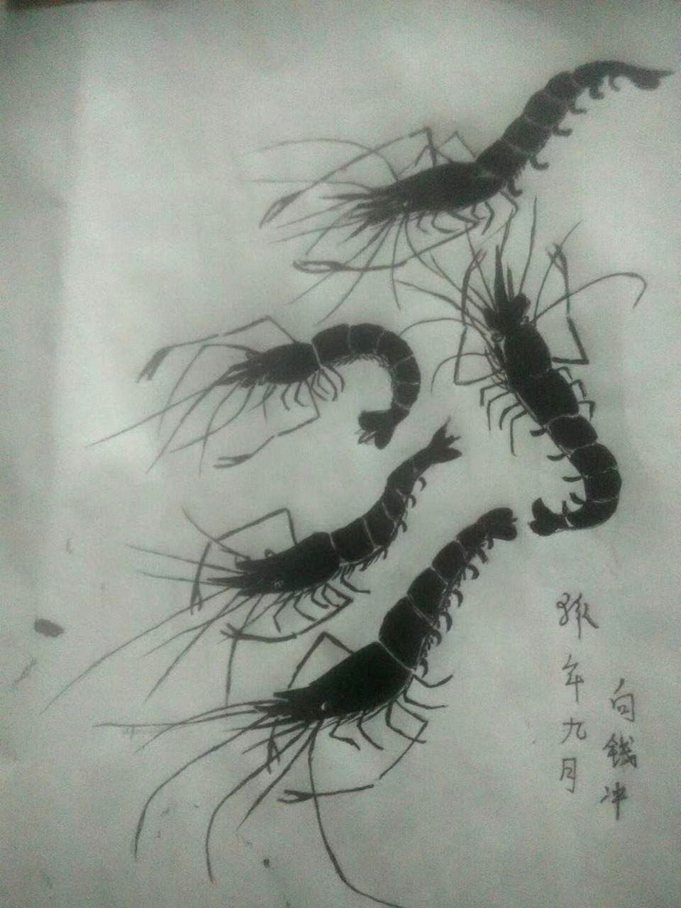 素描黑色蝦畫.