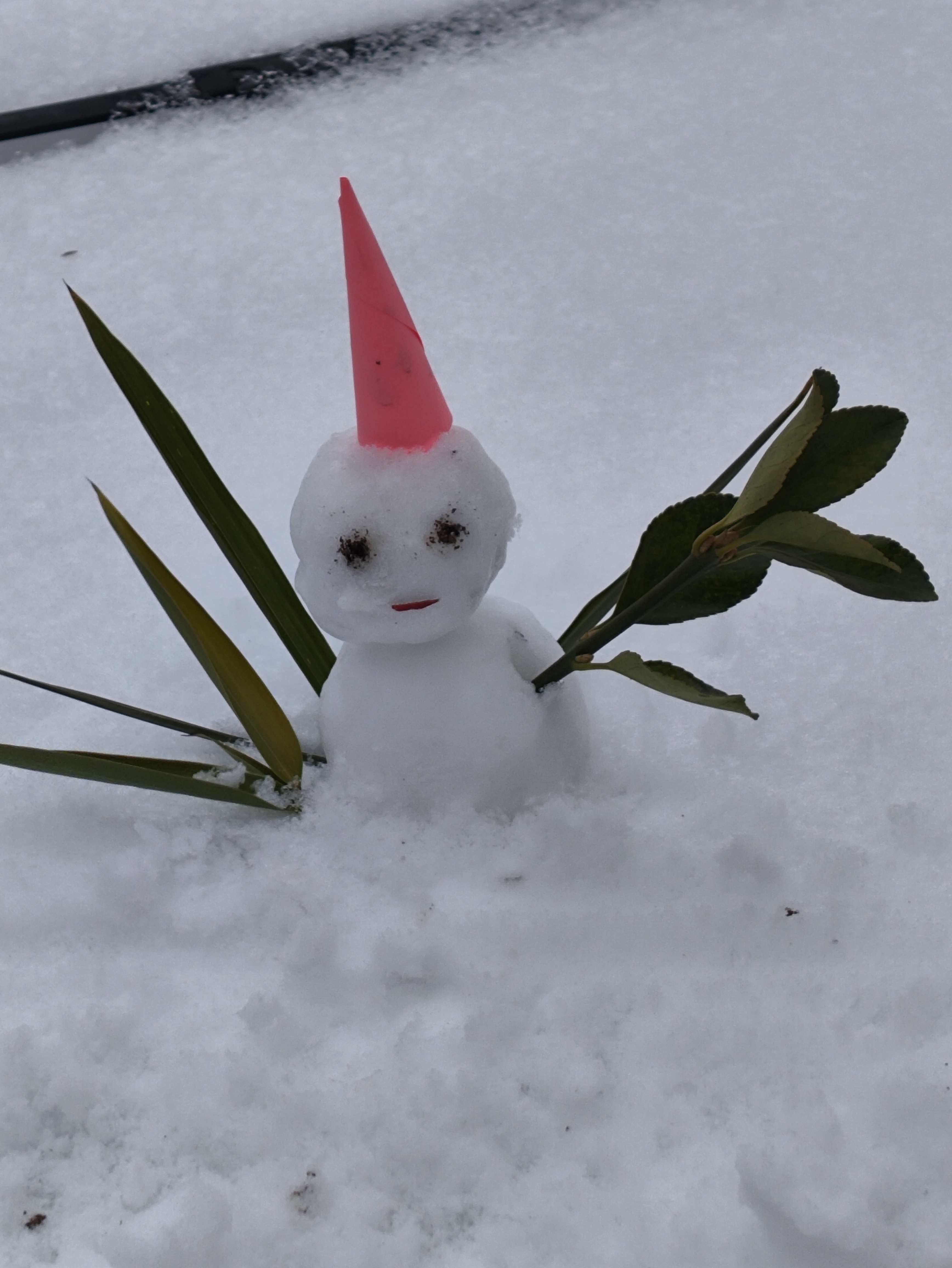 雪人图片冬天真实图片