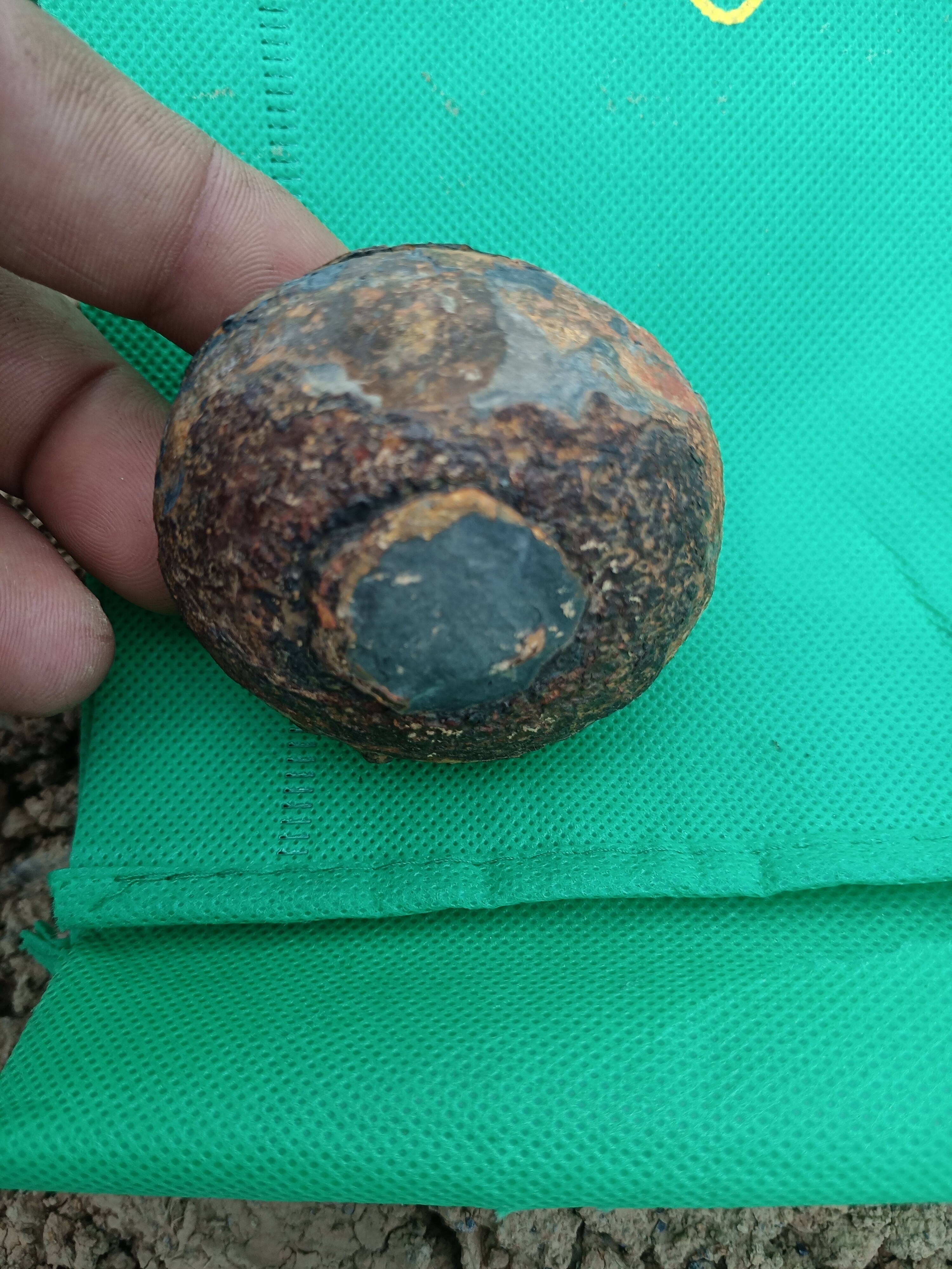 此乃天成之物,名曰石胆,内含希有金属