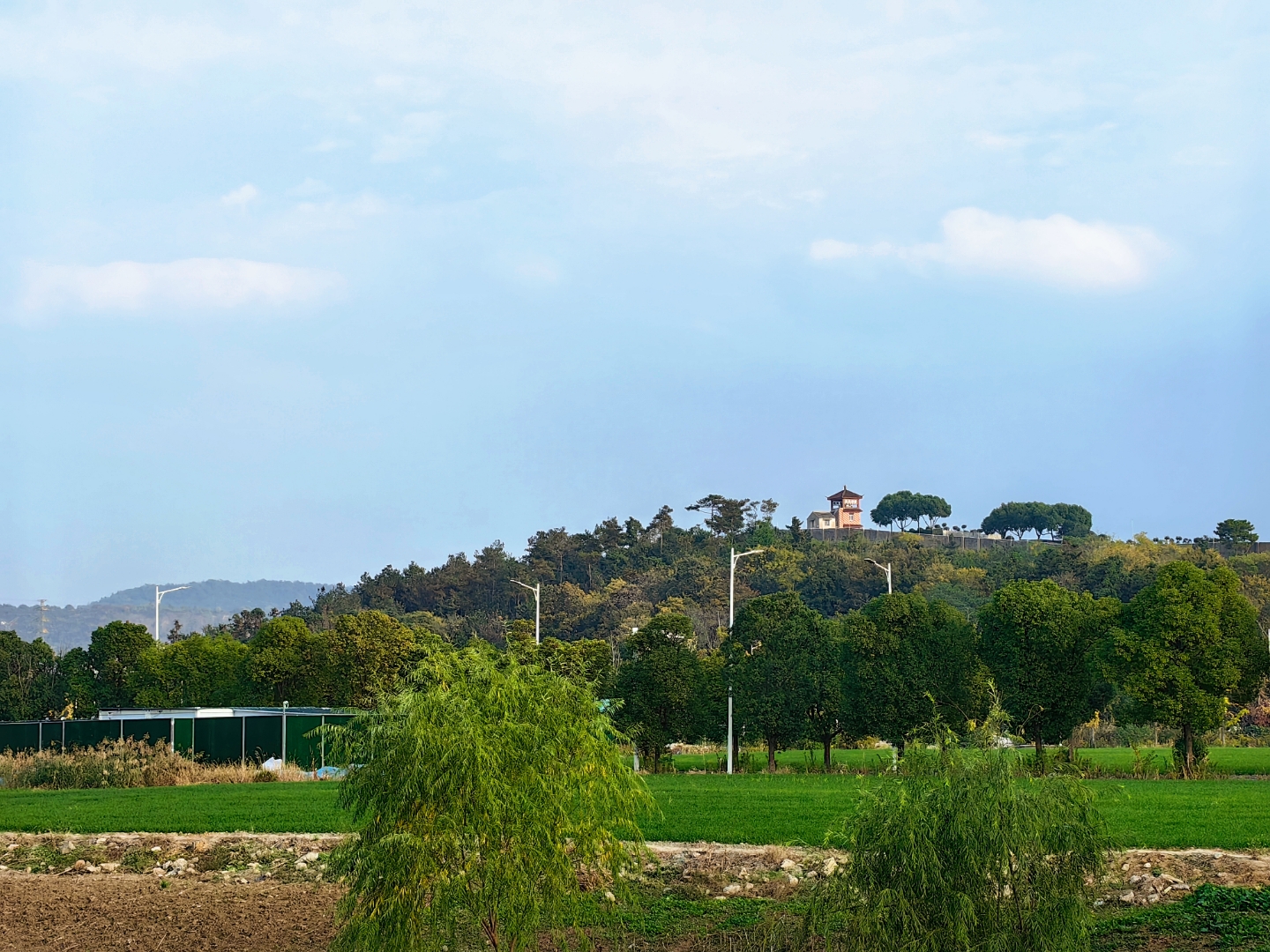 鲤鱼山"地处南京光华门外上坊境内,占地百余亩,山势雄伟,环境幽静,左
