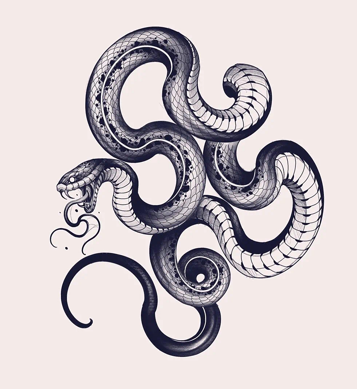 遇见不一样的蛇文化02  96第一次看到这幅手绘蛇,就被它那独特的