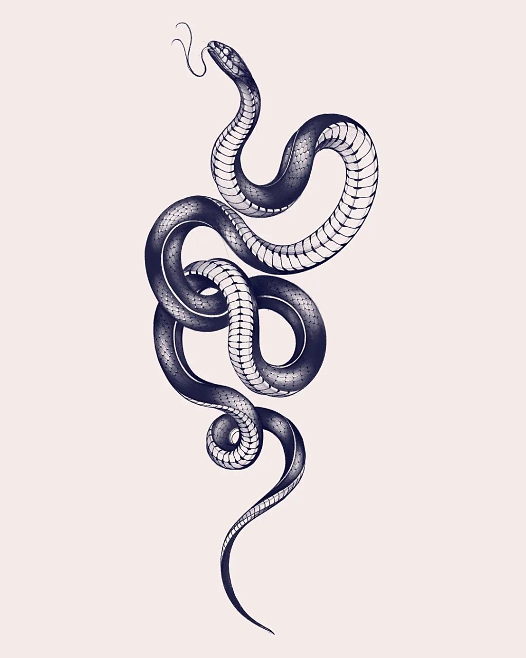 遇见不一样的蛇文化02  96第一次看到这幅手绘蛇,就被它那独特的