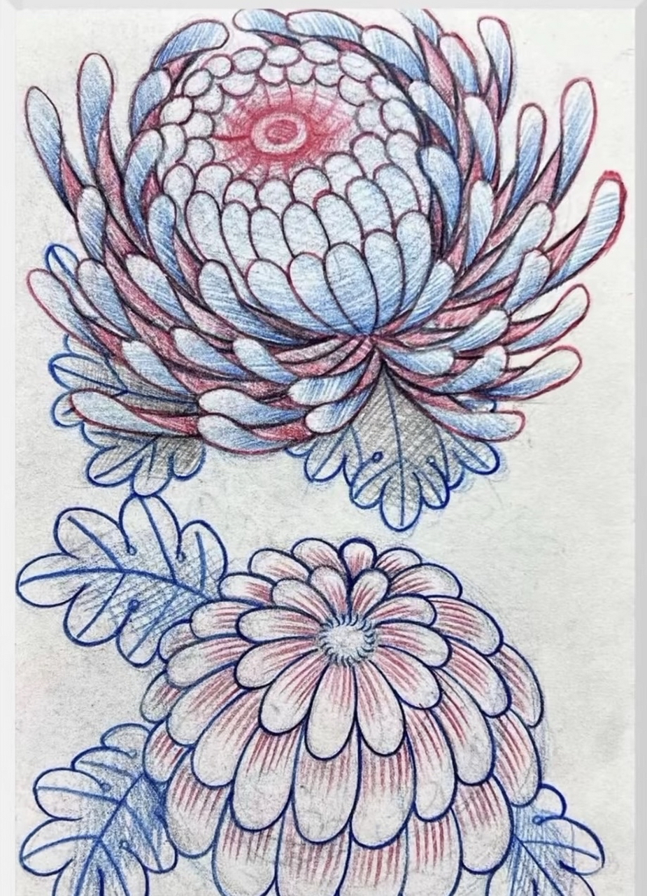 98 针牛刺青家的老传统菊花纹身,简直美到炸裂!