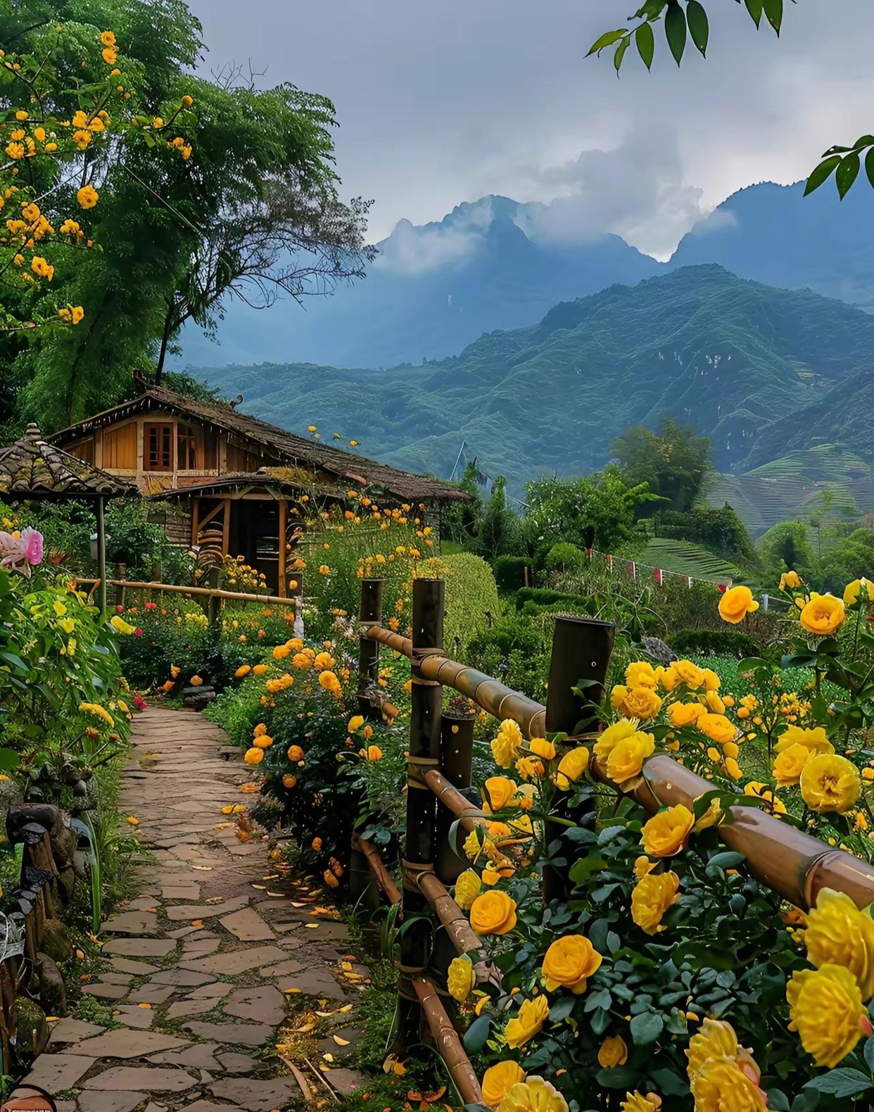 开满鲜花的小院风景图图片