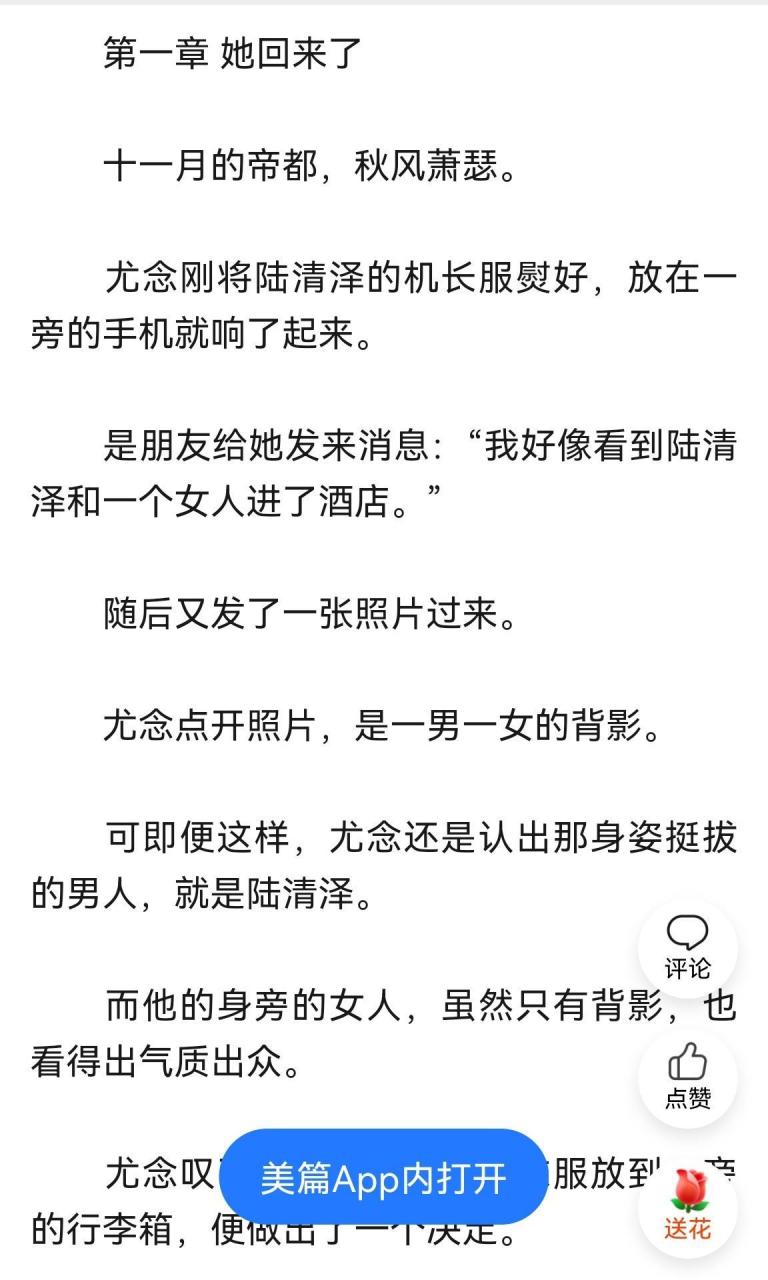 抖音完结《尤念陆清泽》又名《尤念陆清泽/机长与空姐》小说全文在线