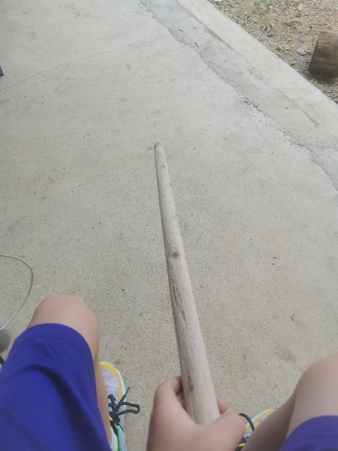 我有一根又长又直的棍子,你们喜欢吗?