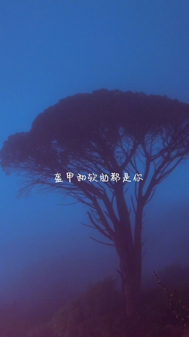 好像没有什么值得留恋的了