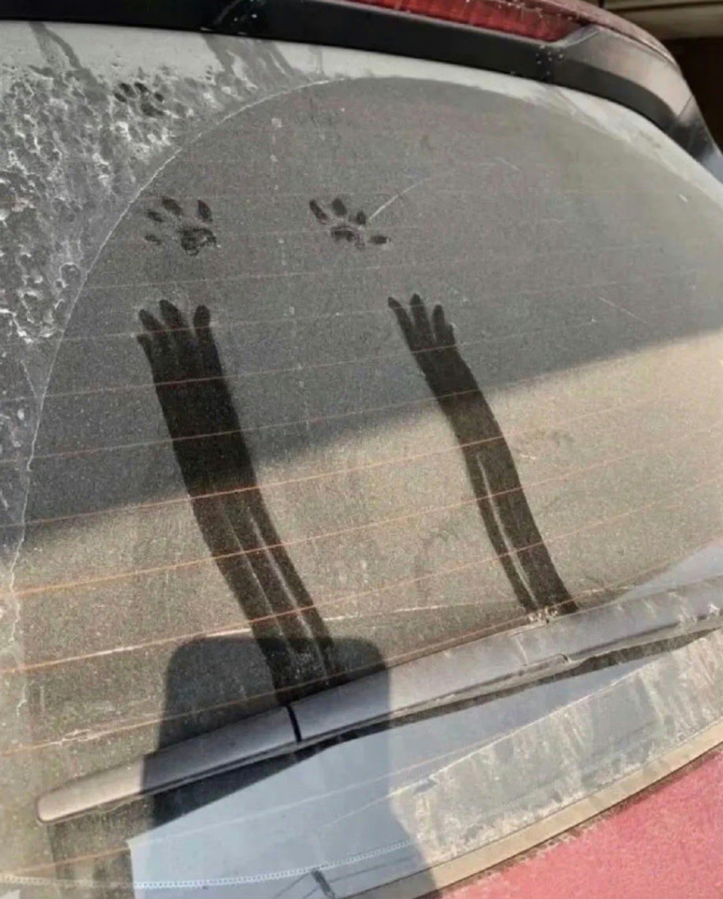 画面感好强,想象空间好大