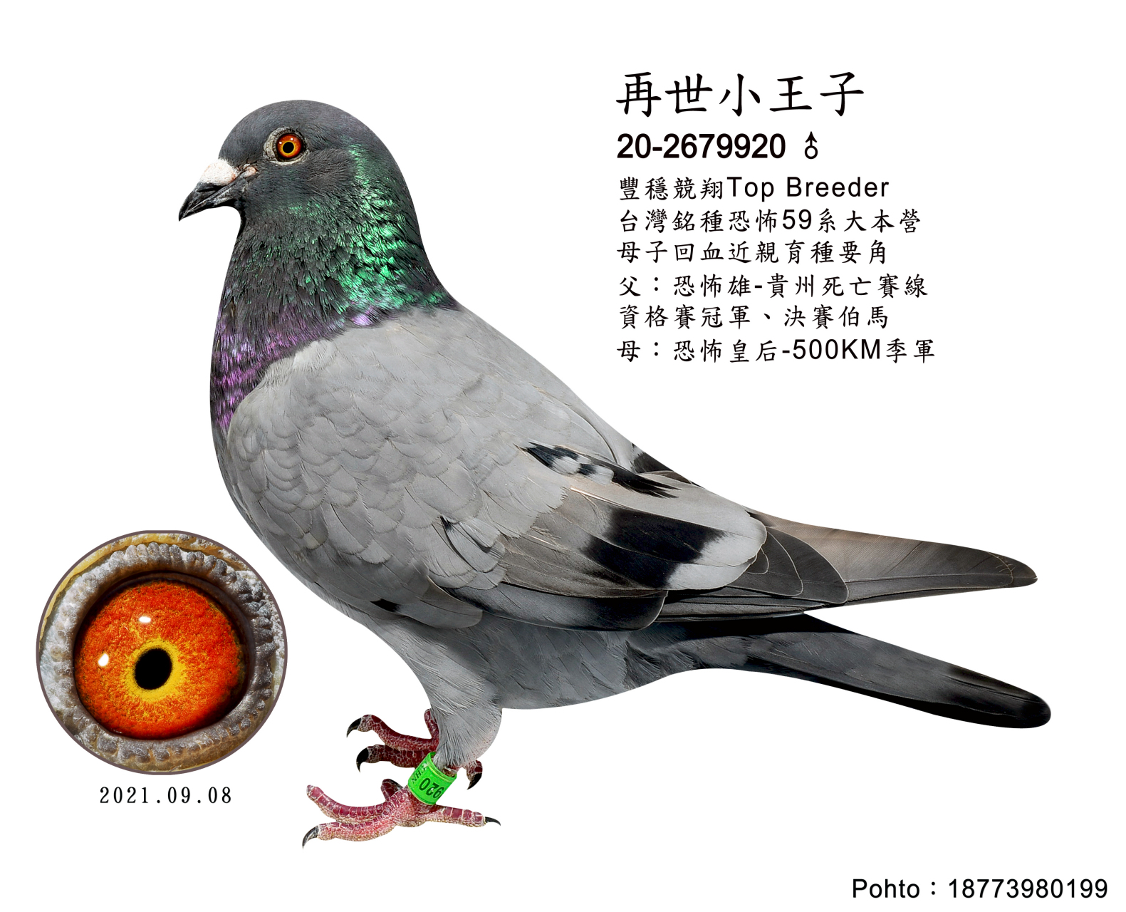 台灣恐怖59系大本營 惡劣氣候多關賽專家