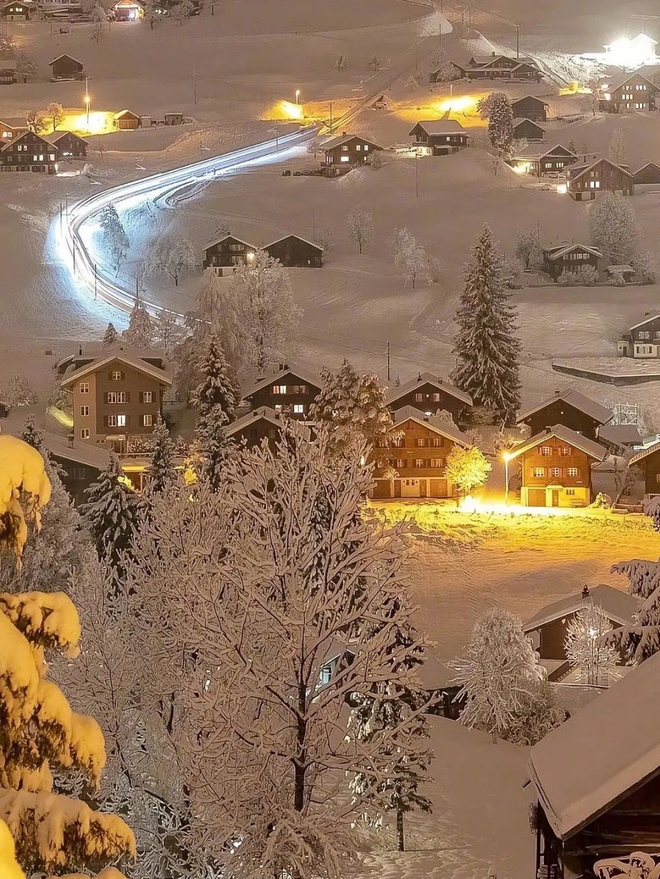 动漫壁纸# 熊出没的团结屯,爱了爱了|||这壁纸,既唯美,又富含温暖是 