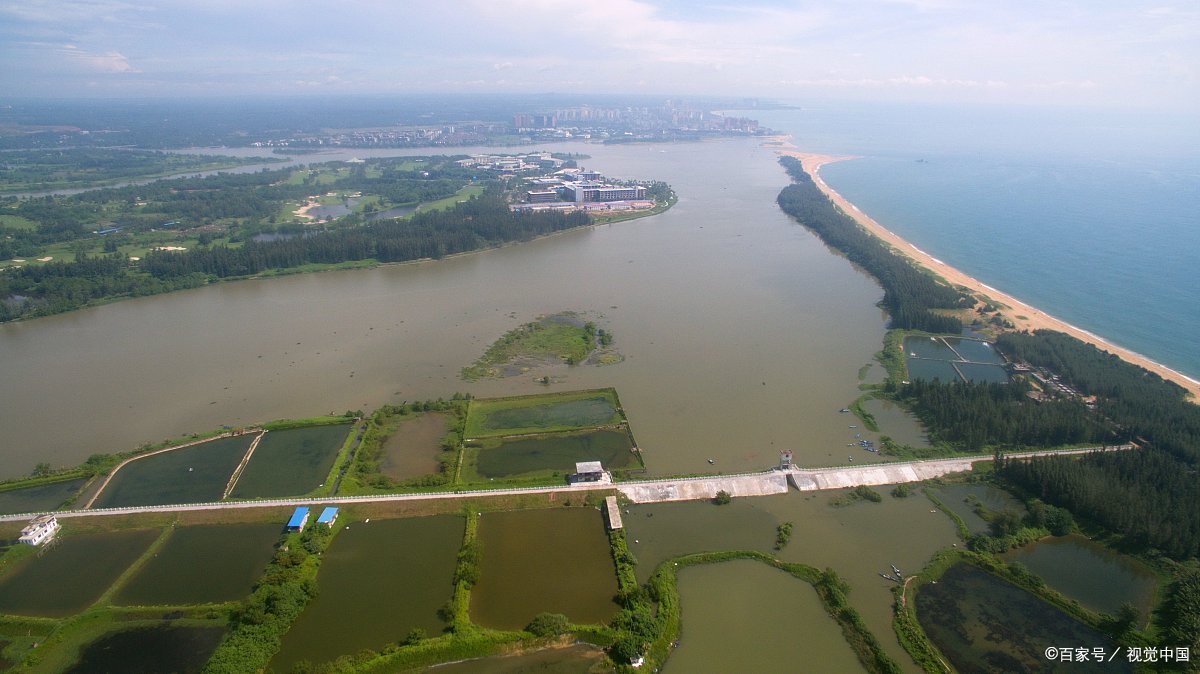 现存的鹦鹉洲位于武汉市汉阳区,是一处生态湿地,拥有丰富的植物种类和