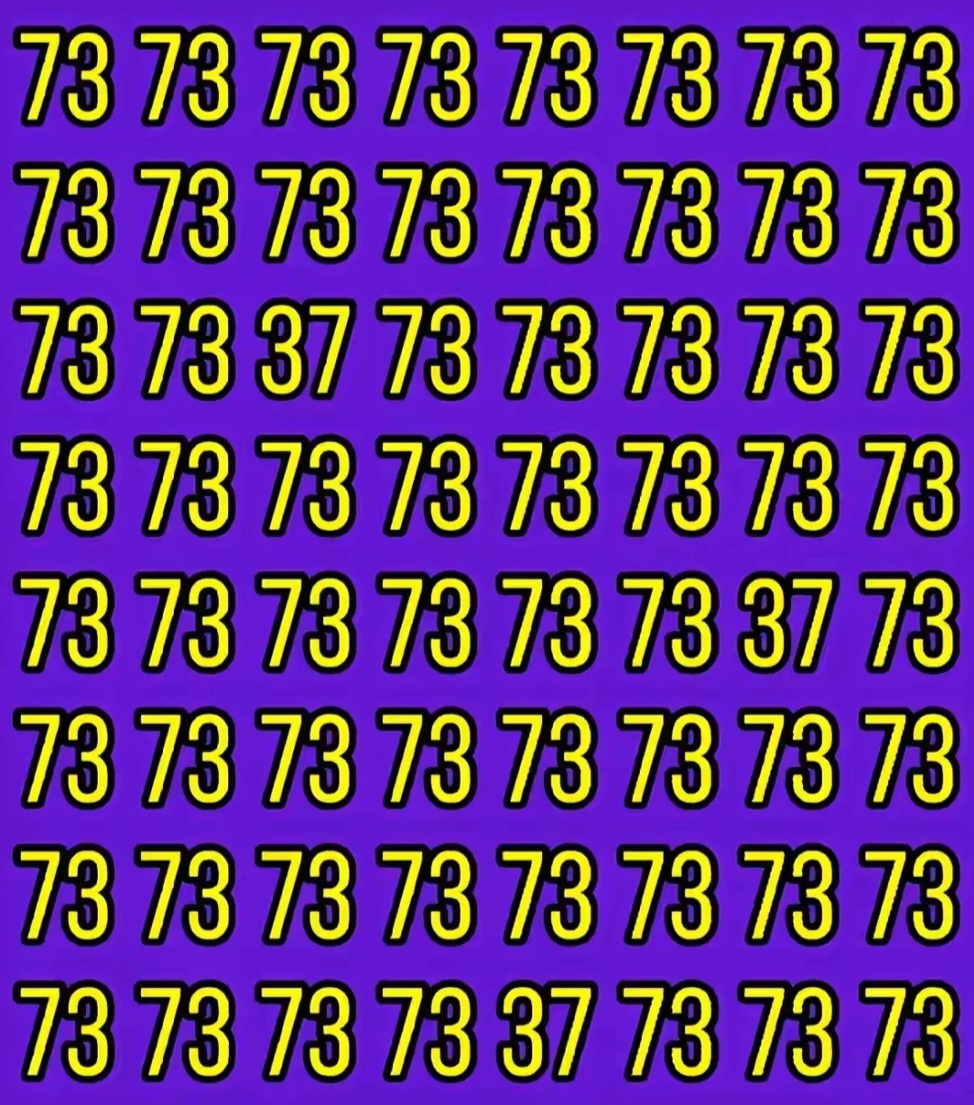 找到图中与数字73不同的数,把你的回答写出来,都看看大家找到的是什么