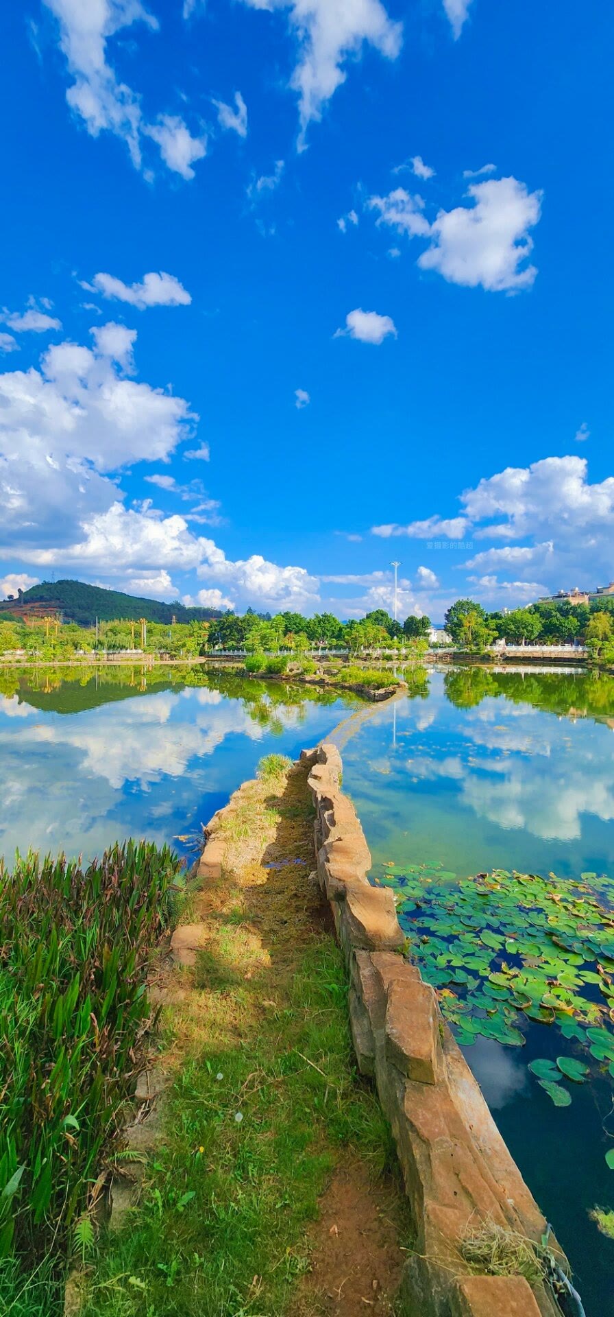 青春是道明媚的忧伤