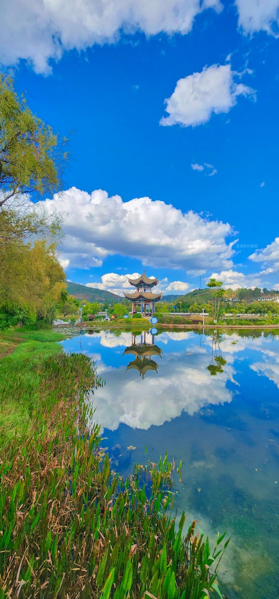 青春是道明媚的忧伤