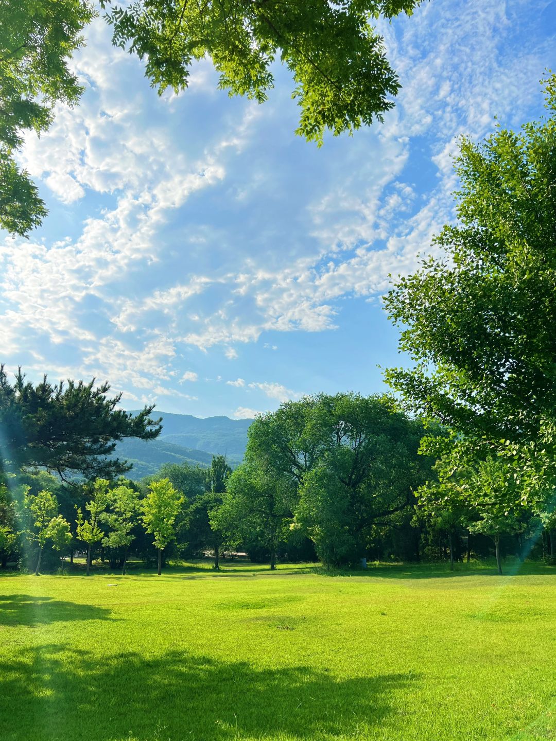 绿茵茵的草地,蓝天白云下,呼吸新鲜空气,享受美好时光.