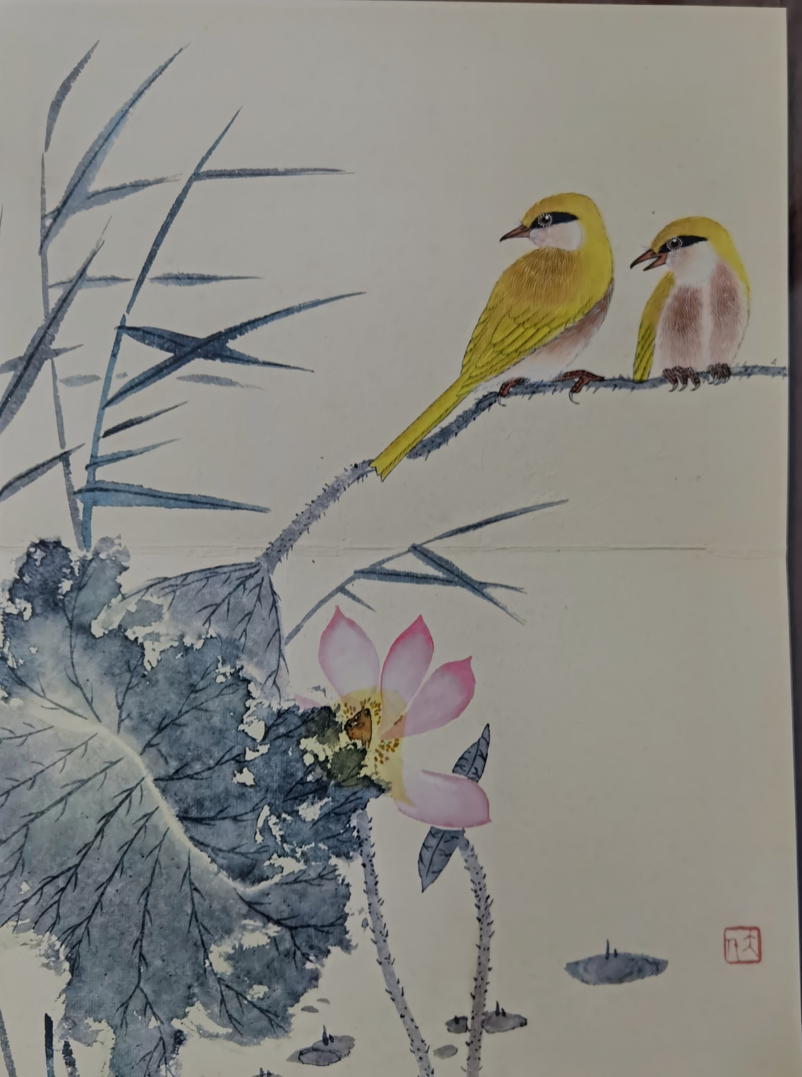 张大千精品工笔花鸟册页 尺寸,高42厘米宽31.5厘米