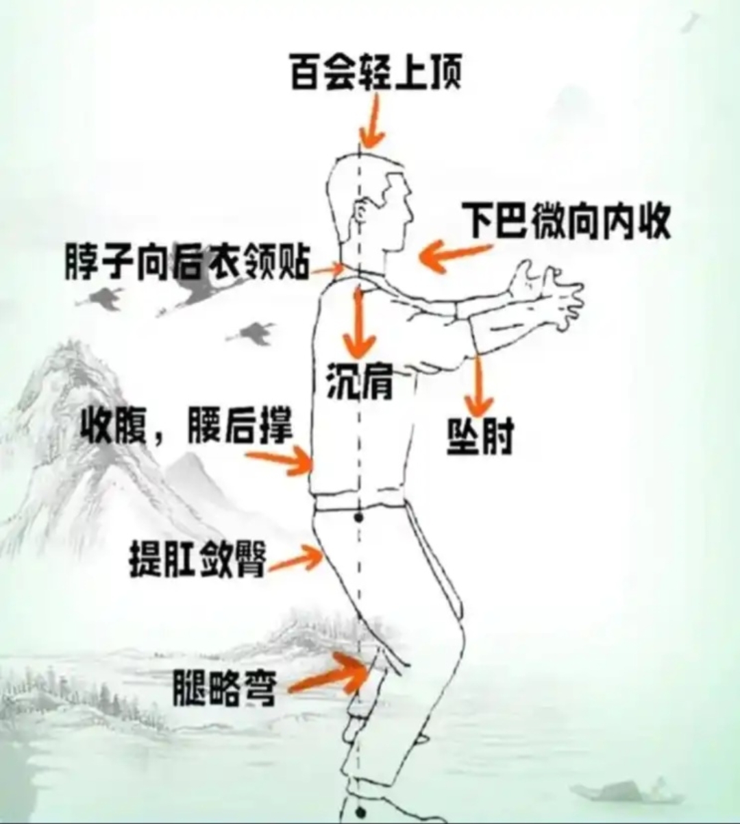 桩功站桩呼吸意念线路图解混元桩的站桩姿势图解站桩图解最正确三体式