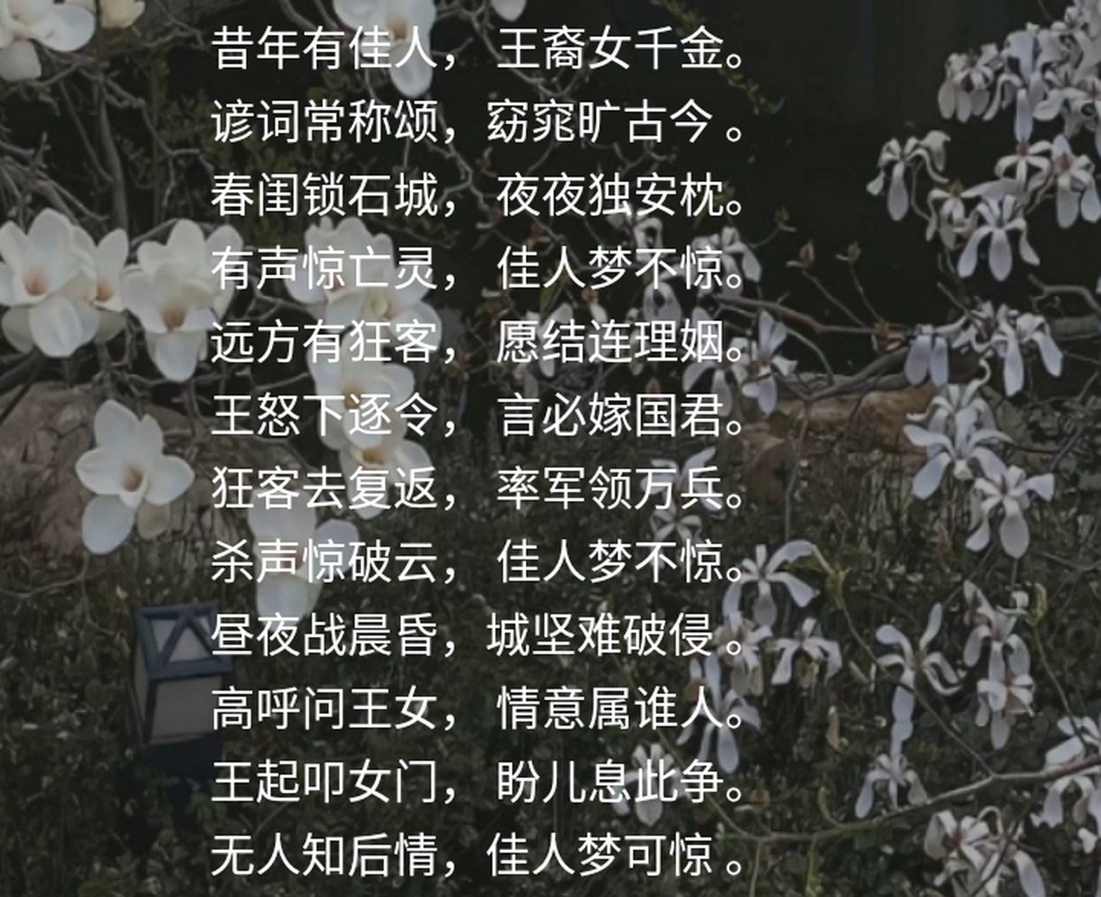 一首歌一个故事# 《sleepyhead》一部用中古高地德语写的英雄史诗.