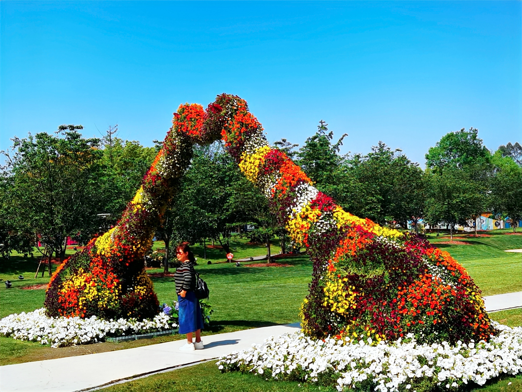 五一假期后的第一天,欣赏成都漫花庄园美景.